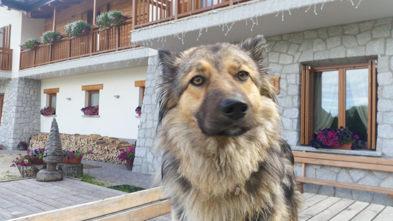 Albergo Chalet Abete Rosso Castello Tesino Kültér fotó