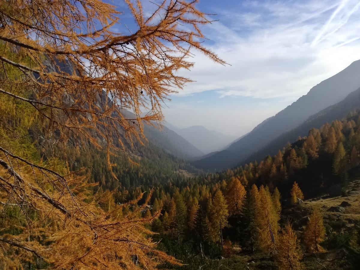 Albergo Chalet Abete Rosso Castello Tesino Kültér fotó